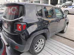 جيب رينيجيد